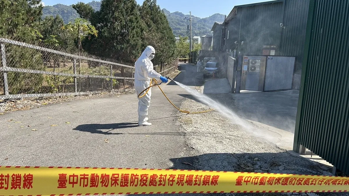 禽流感雞蛋流向曝！逾7000台斤最大宗在苗栗 波及5星好評店家