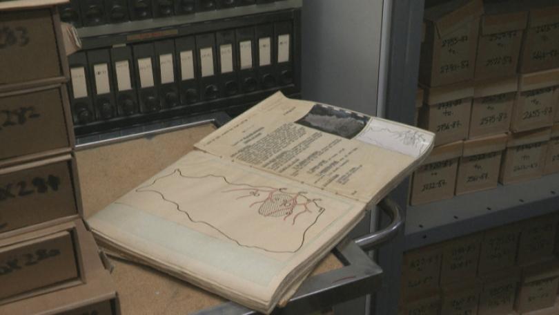 英年輕大腸癌患者增 學界分析樣本庫盼探究原因